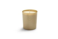 Duftkerze Moments Summer Night  -Schlafkomfort Rabattwelt 0005 candle xl summer night 1