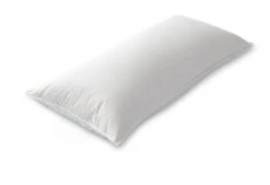 Das Nachhaltige Kopfkissen -Schlafkomfort Rabattwelt dixxius comfort green hoofdkussen 40x80 2 1 1