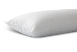 Das Nachhaltige Kopfkissen -Schlafkomfort Rabattwelt dixxius comfort green hoofdkussen 40x80 3 1 1