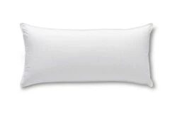 Das Nachhaltige Kopfkissen -Schlafkomfort Rabattwelt dixxius comfort green hoofdkussen 40x80 4 1 1