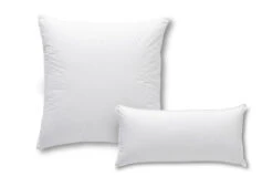 Das Nachhaltige Kopfkissen -Schlafkomfort Rabattwelt dixxius comfort green hoofdkussen 40x80 80x80 1 1