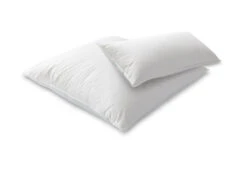 Das Nachhaltige Kopfkissen -Schlafkomfort Rabattwelt dixxius comfort green hoofdkussen 40x80 80x80 2