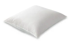 Das Nachhaltige Kopfkissen