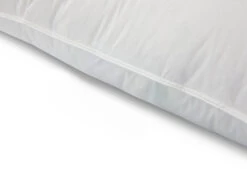 Das Nachhaltige Kopfkissen -Schlafkomfort Rabattwelt dixxius comfort green hoofdkussen 60x70 8 1 2