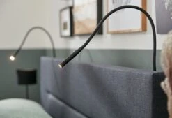 Boxspringbett Home 250 -Schlafkomfort Rabattwelt home 250 detail lampjes b