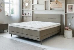 Boxspringbett Lifestyle Cinnamon 18 Boxspringbett Lifestyle Cinnamon -Schlafkomfort Rabattwelt ls cinnamon major thyme schuin kaal
